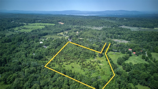 355 Wurtemburg Rd, Rhinebeck, NY 12572 - photo 2