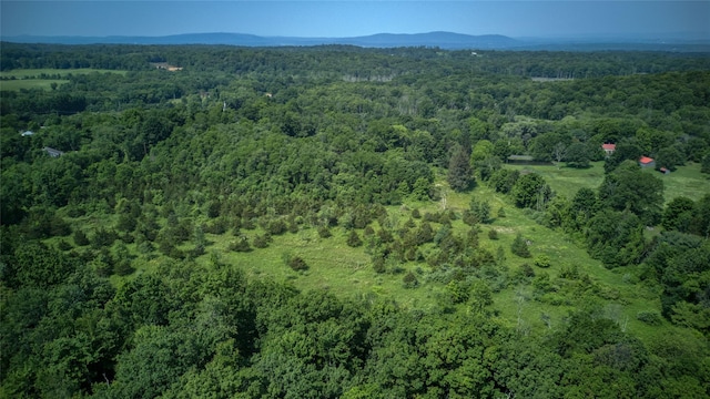 355 Wurtemburg Rd, Rhinebeck, NY 12572 - photo 3