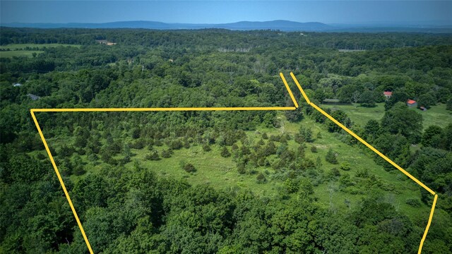 355 Wurtemburg Rd, Rhinebeck, NY 12572 - photo 4