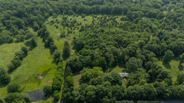 355 Wurtemburg Rd, Rhinebeck, NY 12572 - photo 5