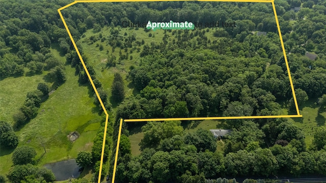 355 Wurtemburg Rd, Rhinebeck, NY 12572 - photo 6