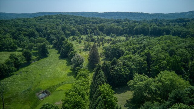 355 Wurtemburg Rd, Rhinebeck, NY 12572 - photo 7