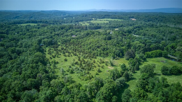 355 Wurtemburg Rd, Rhinebeck, NY 12572 - photo 8