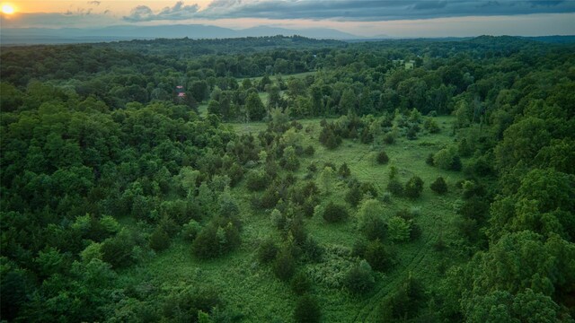 355 Wurtemburg Rd, Rhinebeck, NY 12572 - photo 10