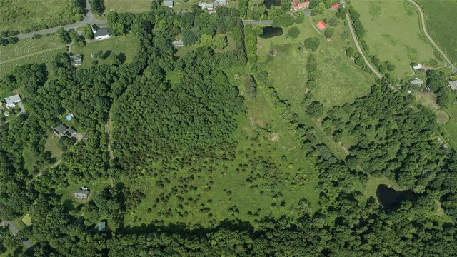 355 Wurtemburg Rd, Rhinebeck, NY 12572 - photo 11
