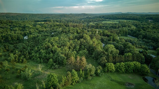 355 Wurtemburg Rd, Rhinebeck, NY 12572 - photo 14