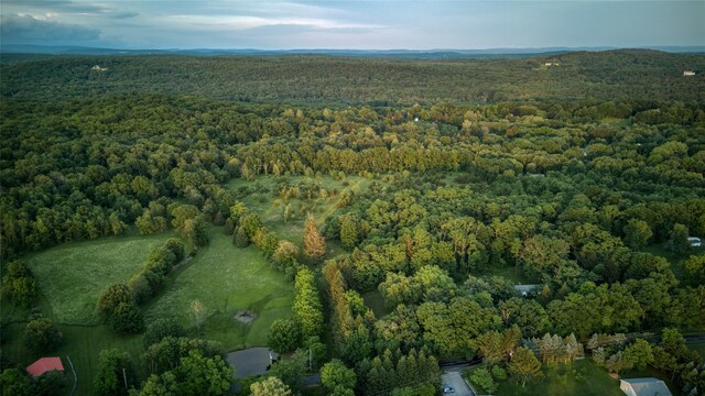 355 Wurtemburg Rd, Rhinebeck, NY 12572 - photo 15