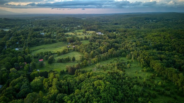 355 Wurtemburg Rd, Rhinebeck, NY 12572 - photo 16