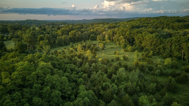 355 Wurtemburg Rd, Rhinebeck, NY 12572 - photo 17
