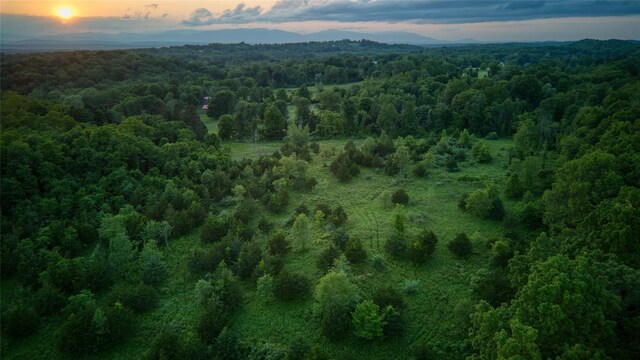 355 Wurtemburg Rd, Rhinebeck, NY 12572 - photo 18