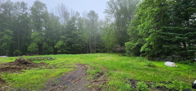 127 Benneywater Rd, Port Jervis, NY 12771