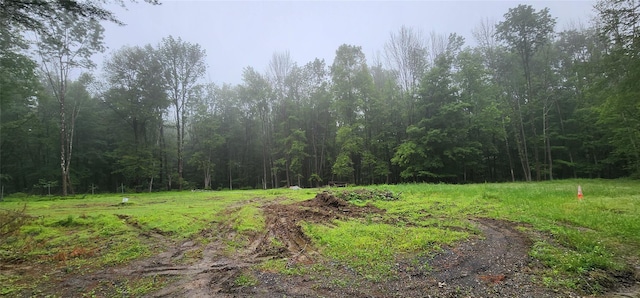 127 Benneywater Rd, Port Jervis, NY 12771