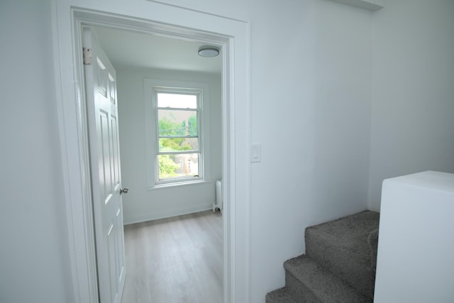23 Ann St, Ossining, NY 10562 - photo 24