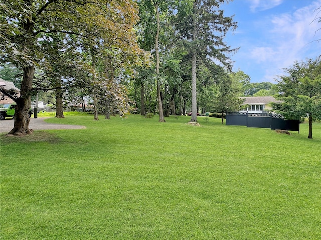 222 Beechwood Ave, Poughkeepsie, NY 12601 - view of grassy yard