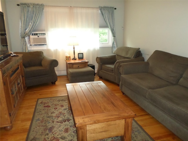 6 Kingsville Dr, Monroe, NY 10950 - living room with light wood finished floors and cooling unit