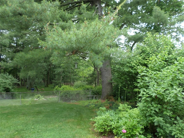 6 Kingsville Dr, Monroe, NY 10950 - view of yard