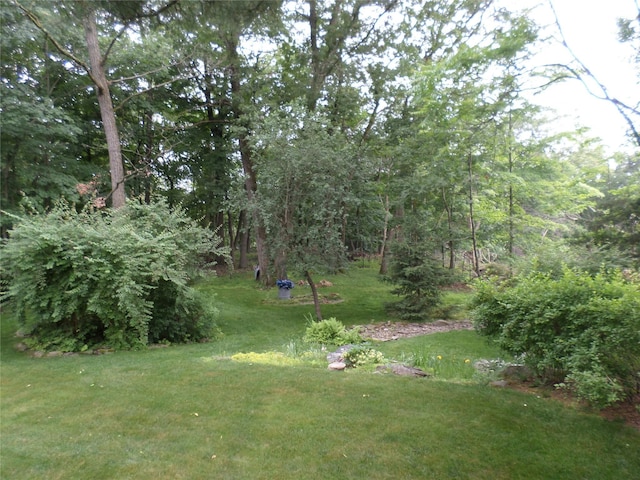 6 Kingsville Dr, Monroe, NY 10950 - view of grassy yard
