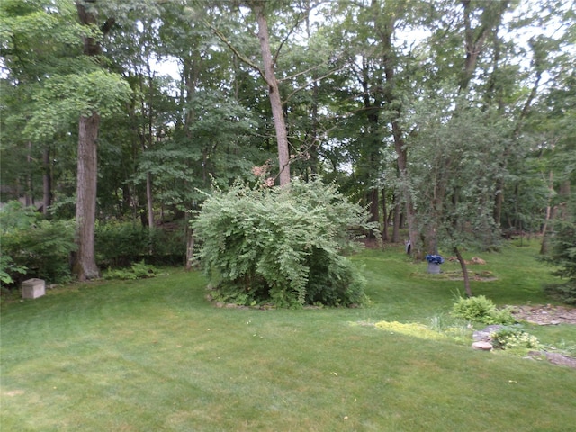 6 Kingsville Dr, Monroe, NY 10950 - view of grassy yard