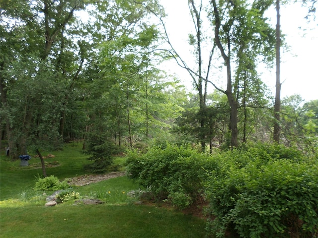 6 Kingsville Dr, Monroe, NY 10950 - view of woods