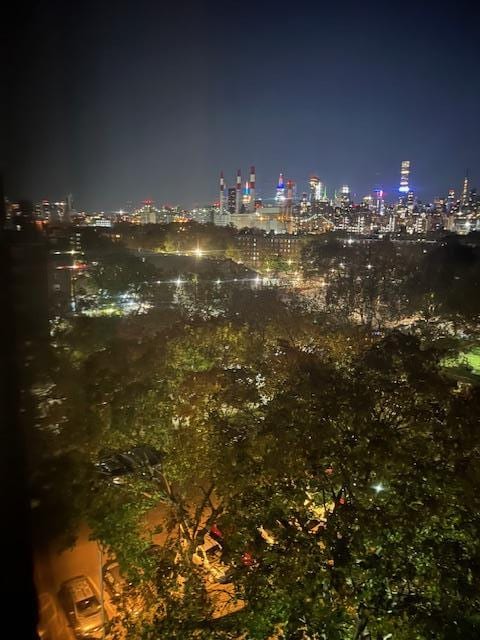 21-15 34th Ave Unit 8B, Astoria, NY 11106 - view of city with a view of city lights