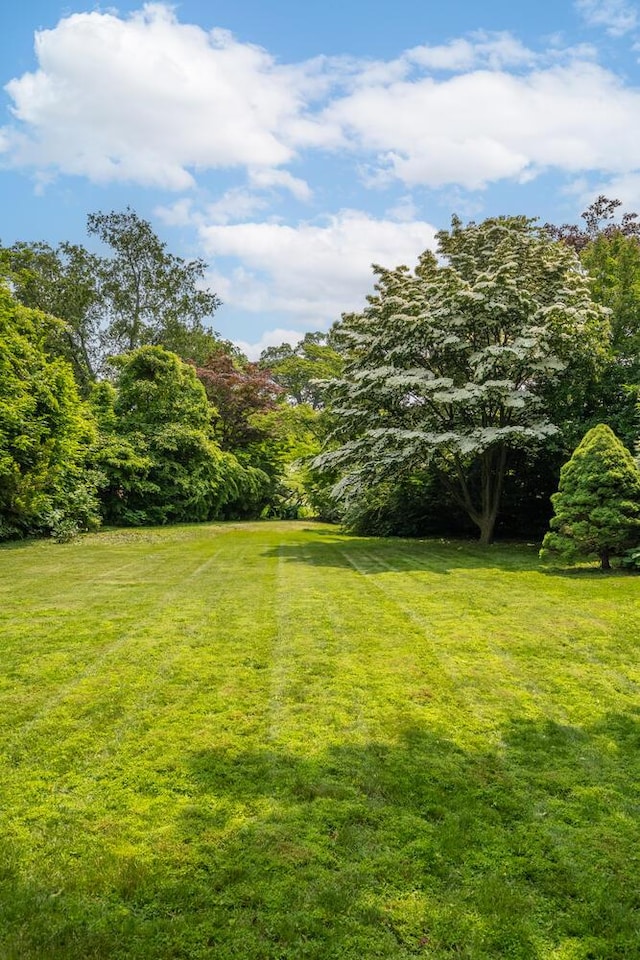 28 Weir Ln, Locust Valley, NY 11560 - view of green lawn