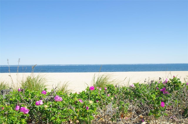 28 Weir Ln, Locust Valley, NY 11560 - water view