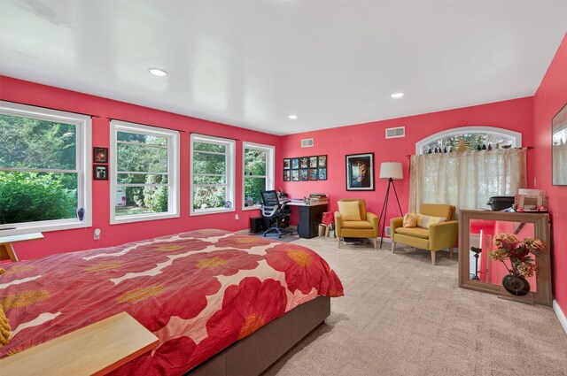 33 Gregory St, New City, NY 10956 - photo 16
