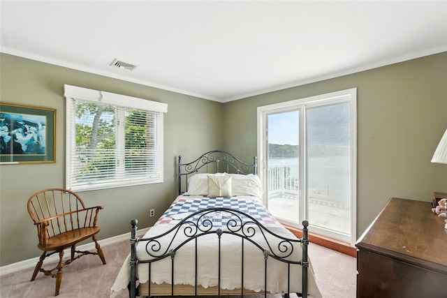 2005 Westview Dr, Mattituck, NY 11952 - bedroom with ornamental molding, access to exterior, and light carpet