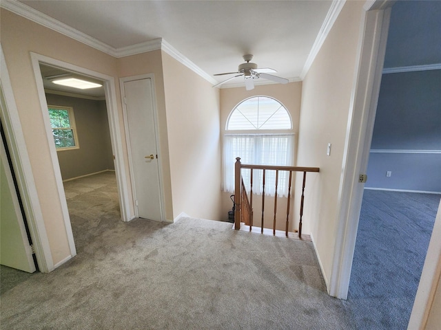 12 Grouse Path, Coram, NY 11727 - corridor with an upstairs landing, carpet, and ornamental molding