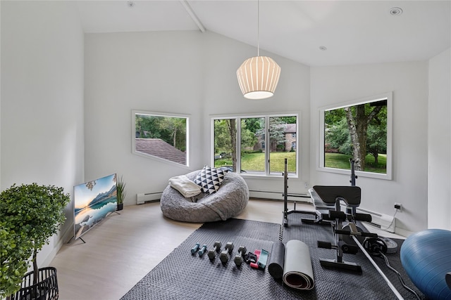 12 Zeck Ct, Suffern, NY 10901 - workout room featuring wood finished floors, high vaulted ceiling, and a baseboard radiator