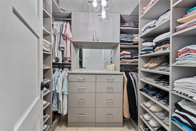 12 Zeck Ct, Suffern, NY 10901 - spacious closet with wood finished floors