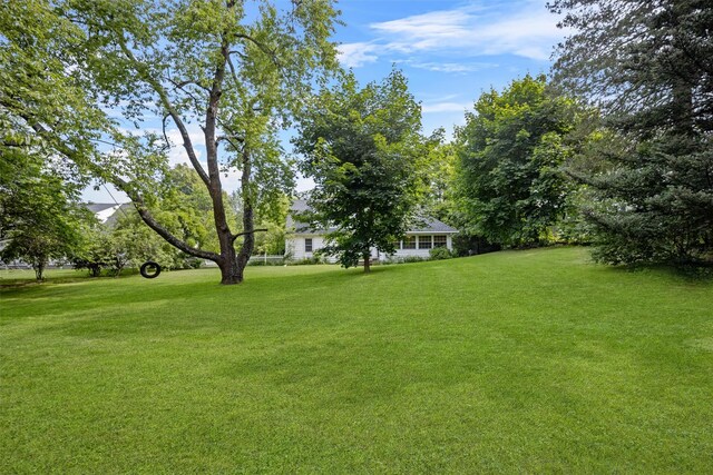 167 Tammany St, Kingston, NY 12401 - photo 38