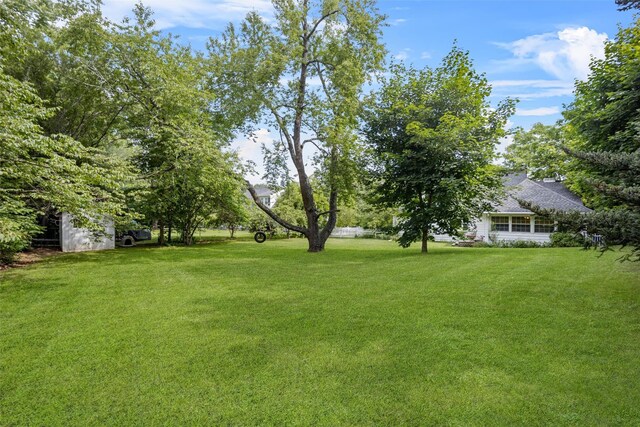 167 Tammany St, Kingston, NY 12401 - photo 39