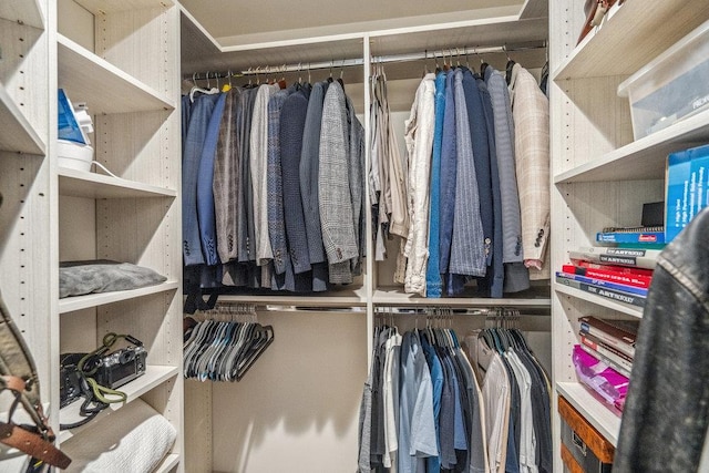 10 Pond View Ct Unit 10, Jericho, NY 11753 - view of walk in closet