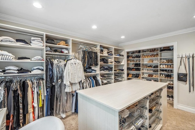 10 Pond View Ct Unit 10, Jericho, NY 11753 - spacious closet featuring light carpet