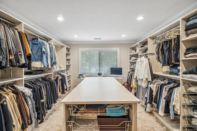 10 Pond View Ct Unit 10, Jericho, NY 11753 - view of walk in closet