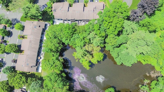 10 Pond View Ct Unit 10, Jericho, NY 11753 - aerial view