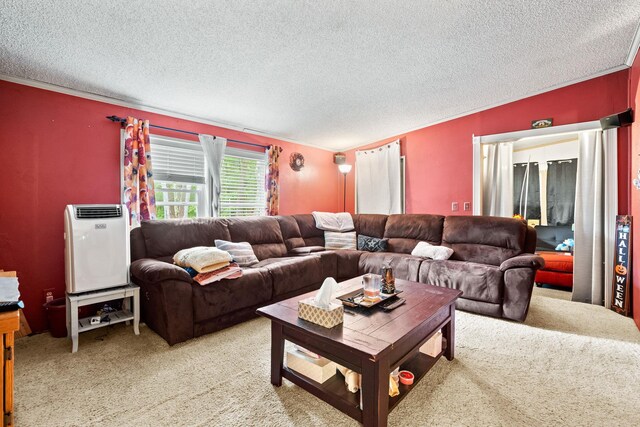 34 H Urban Dr, Clintondale, NY 12515 - photo 9