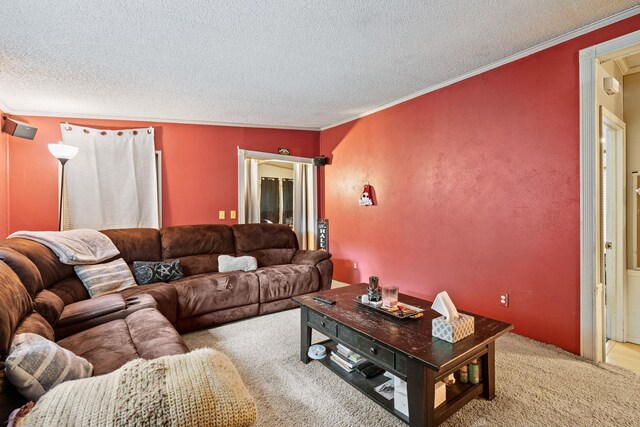 34 H Urban Dr, Clintondale, NY 12515 - photo 10