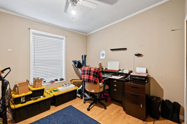 34 H Urban Dr, Clintondale, NY 12515 - photo 17