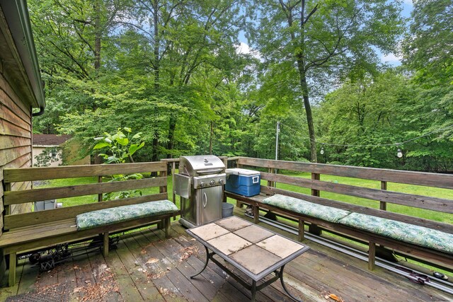 34 H Urban Dr, Clintondale, NY 12515 - photo 28