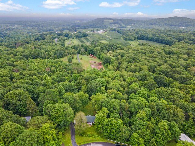 34 H Urban Dr, Clintondale, NY 12515 - photo 34