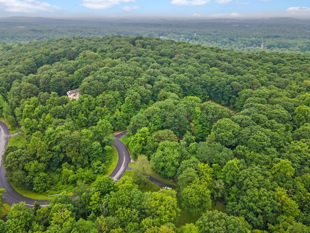 34 H Urban Dr, Clintondale, NY 12515 - photo 37