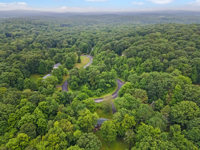 34 H Urban Dr, Clintondale, NY 12515 - photo 38