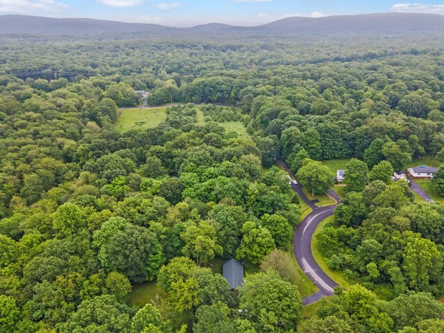 34 H Urban Dr, Clintondale, NY 12515 - photo 40