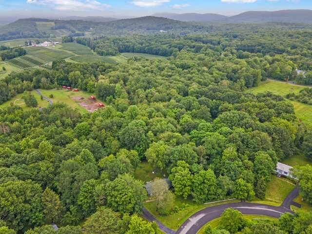 34 H Urban Dr, Clintondale, NY 12515 - photo 41