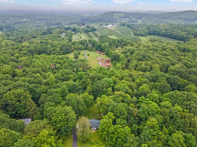34 H Urban Dr, Clintondale, NY 12515 - photo 42