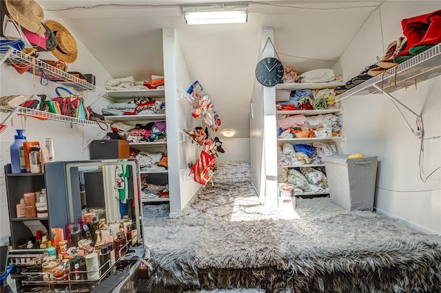 105 Graywood Ct, West Islip, NY 11795 - view of storage area