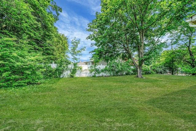 35 13th St, Bohemia, NY 11716 - view of green lawn