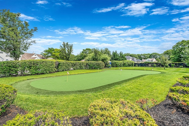 903 Constance Ln, Port Jefferson Station, NY 11776 - view of home's community with an area to practice putting and a lawn
